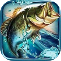 08080524:COM-WWW:08080524:COM